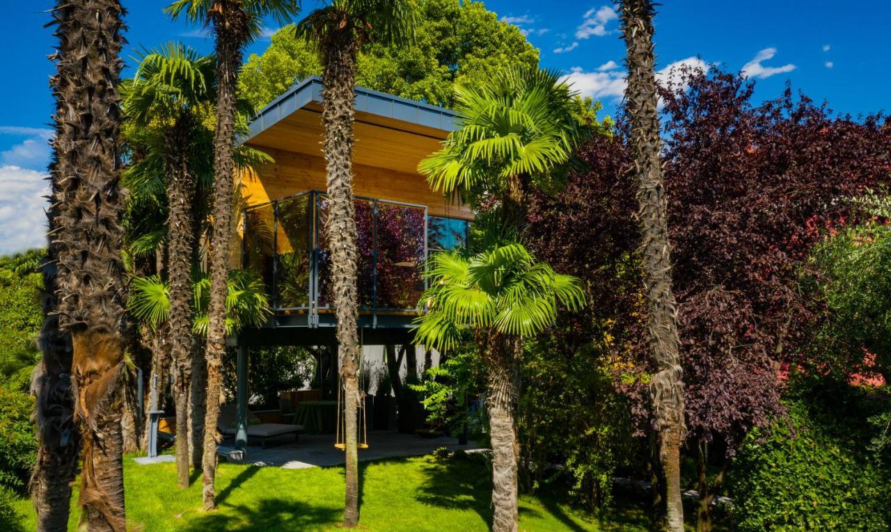 فندق Treelodgy, The Tree House ريفا ديل غاردا المظهر الخارجي الصورة